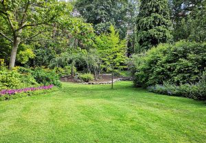 Optimiser l'expérience du jardin à Neuville-aux-Bois